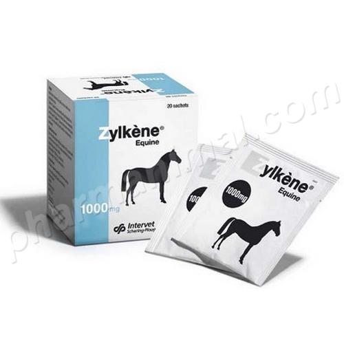 ZYLKENE EQUINE B/20*4 G